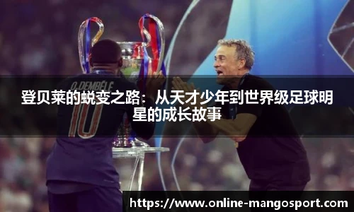 芒果体育官网